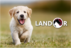 LANDOR® Super Premium Pet Food